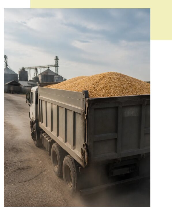 Перевозка сельхозпродукции навалом в Алейск по цене от 3093 р. | Агросервис-Лук