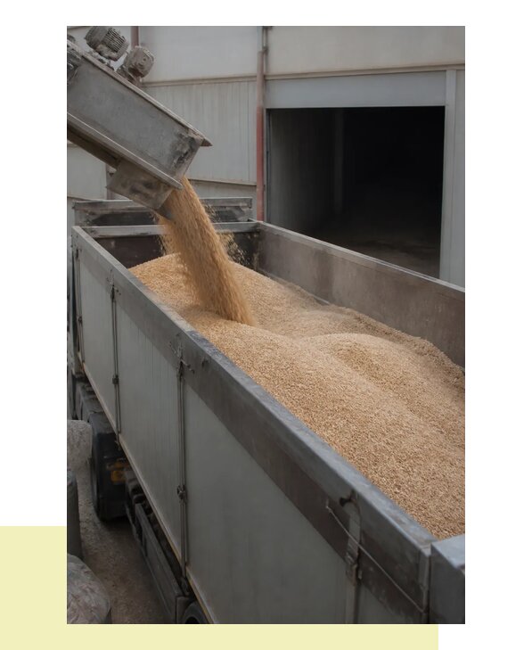Перевозка отрубей в Алейск с гарантией сохранности груза